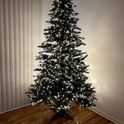 7.5 ‘  Christmas Tree