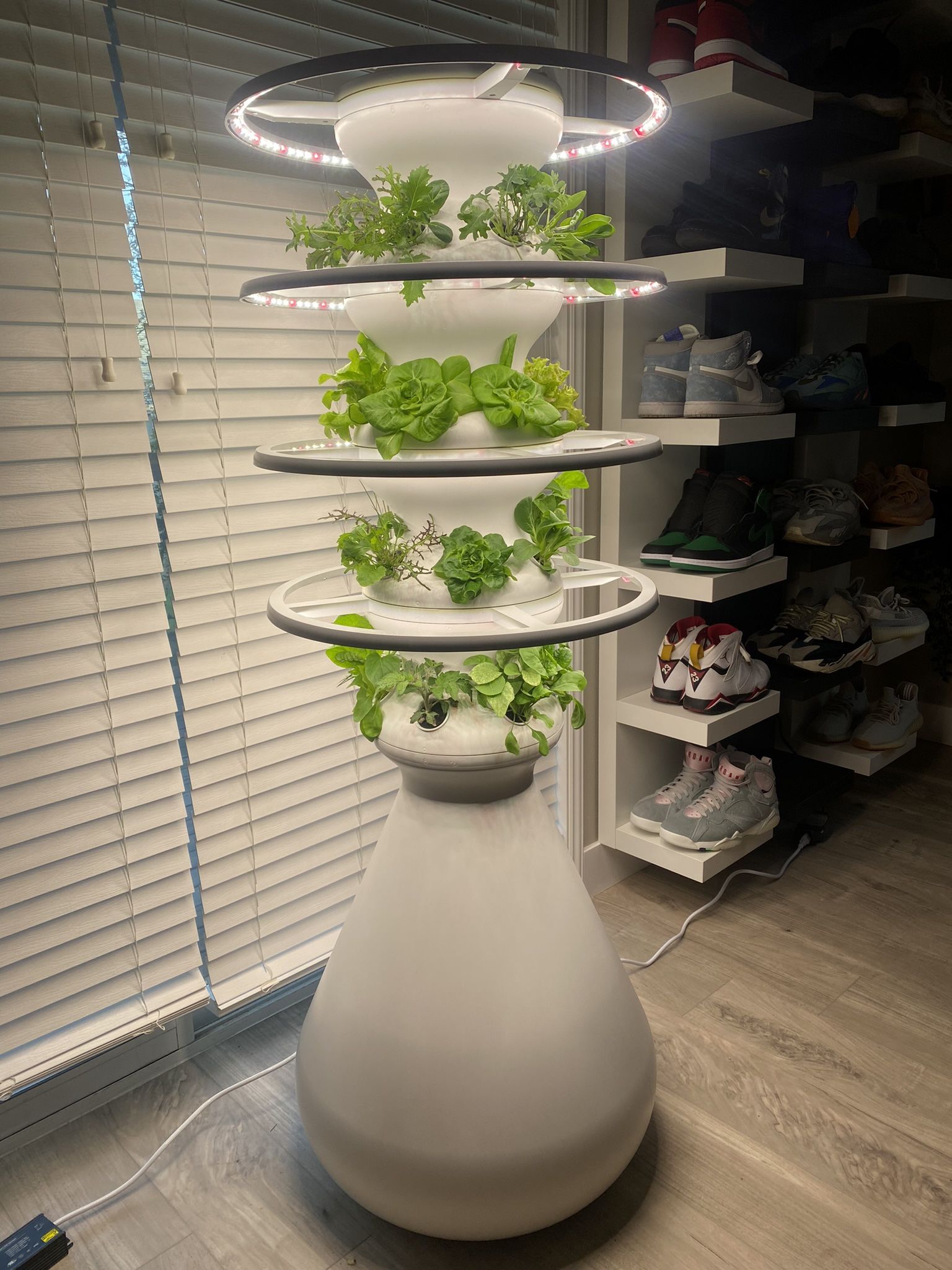 24 Pod Lettuce Grow Farmstand With Halo Led