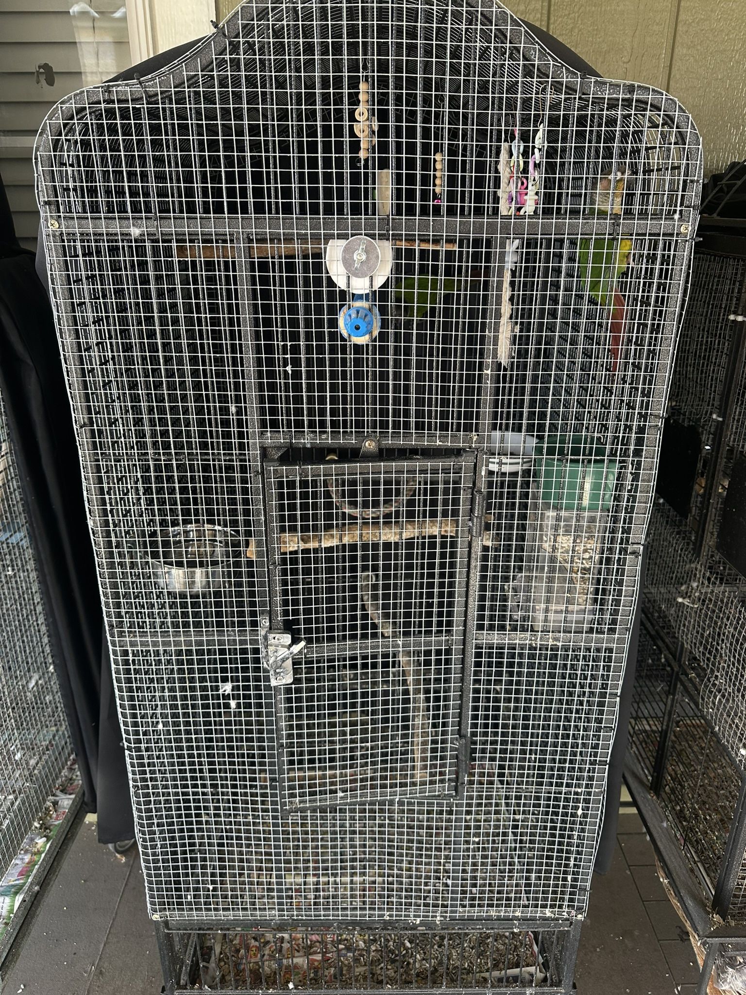 Bird Cage For Sale