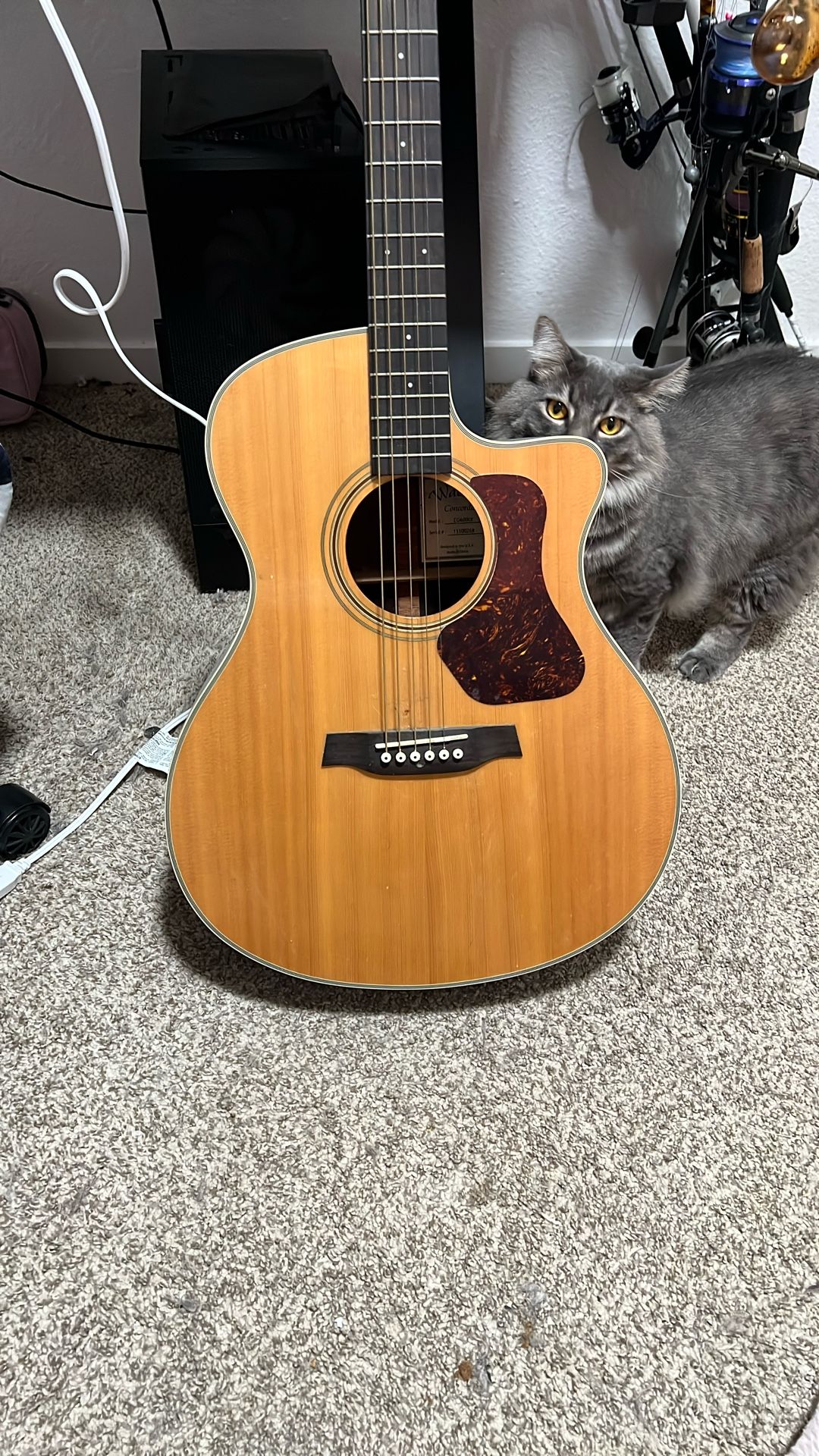 Walden Guitar
