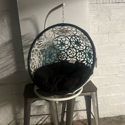 Lil designing dog bed