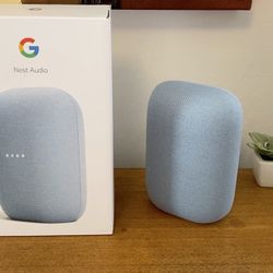 Google Nest Audio 