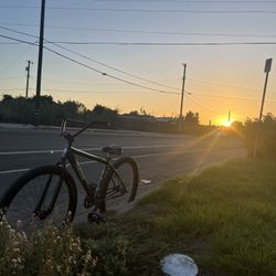 29er Og Frame 