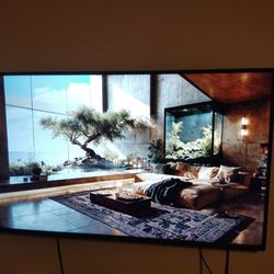 50in Vizio Smart Tv