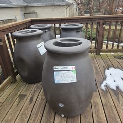 Rain Barrel