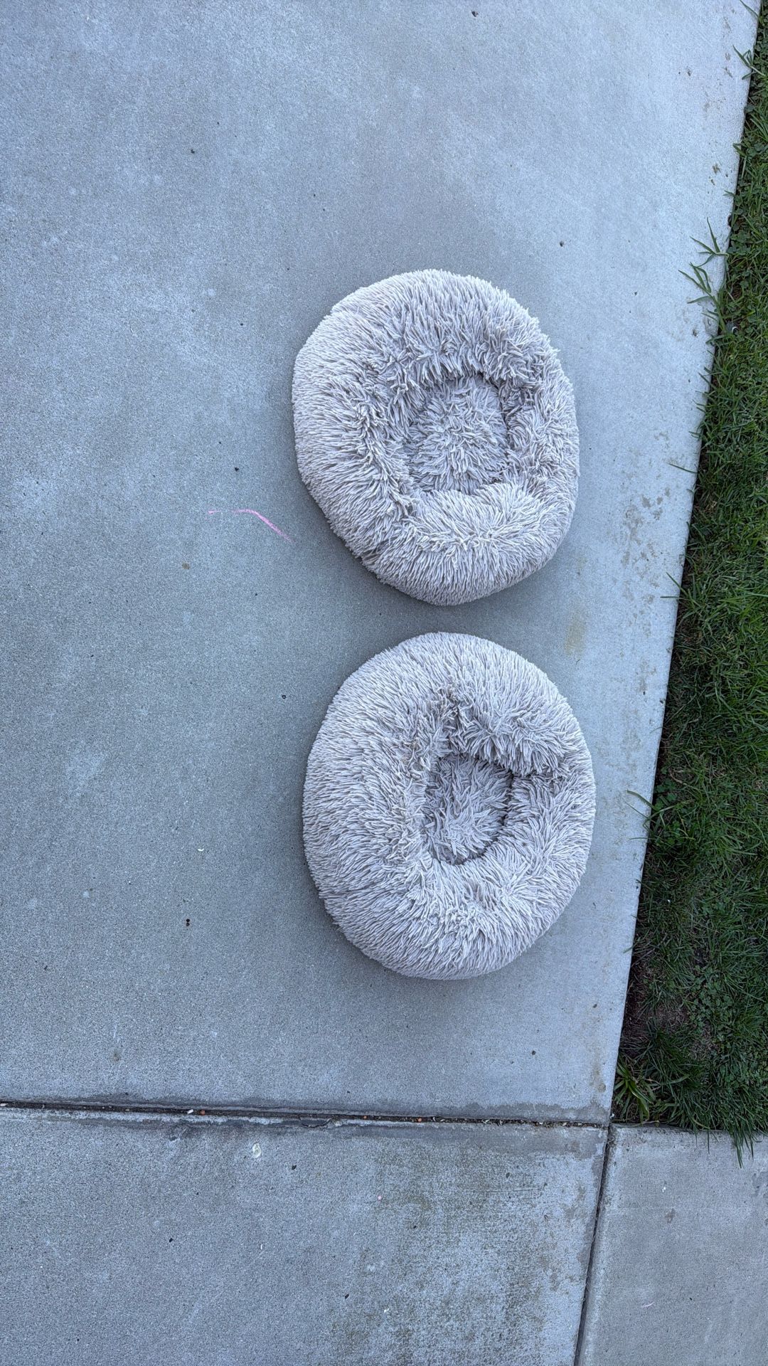 Cat Beds
