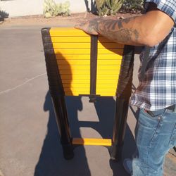 Telescope Ladder 30'