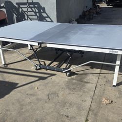 Professional Ping-pong Table
