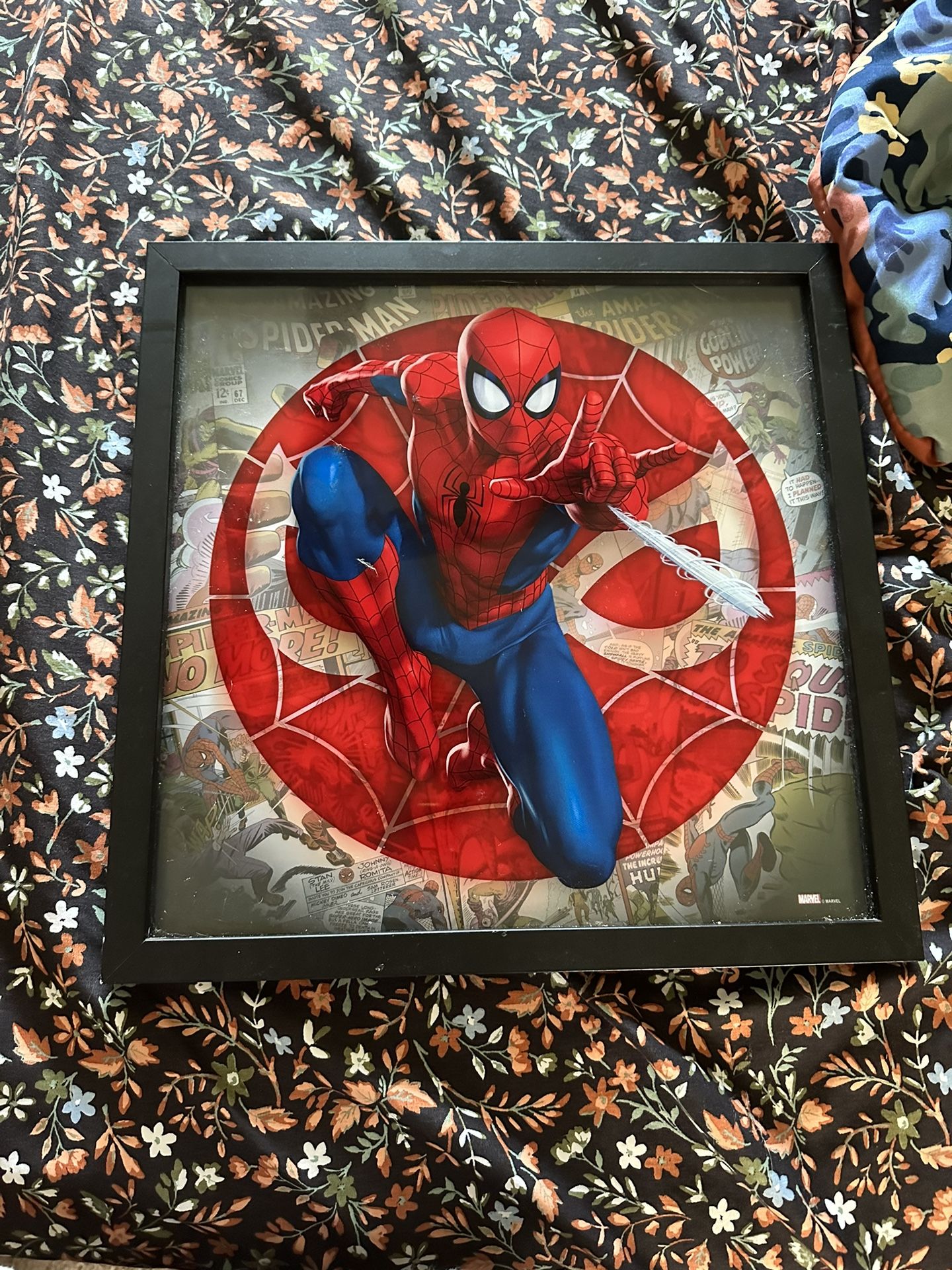Spider-Man Picture
