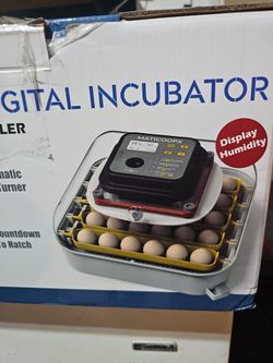 Chicken egg incubator