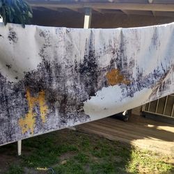 SAFAVIEH Santa Monica Lemma Modern & Contemporary Rug - 9' x 12' - Grey/Gold