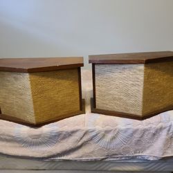 Antique Bose Speakers 