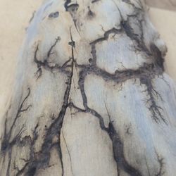 Fractal Burnned Log