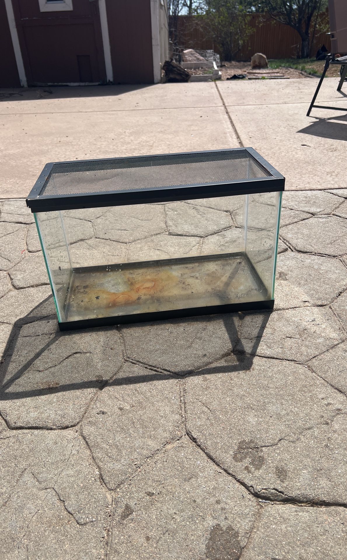 Terrarium