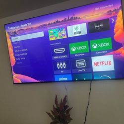 55 Inch Roku Tv