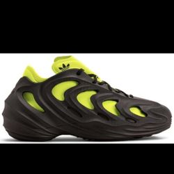  Adidas Brand New  Tags Still On. 