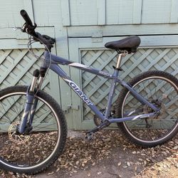 Women’s Giant 17” Mountain bike