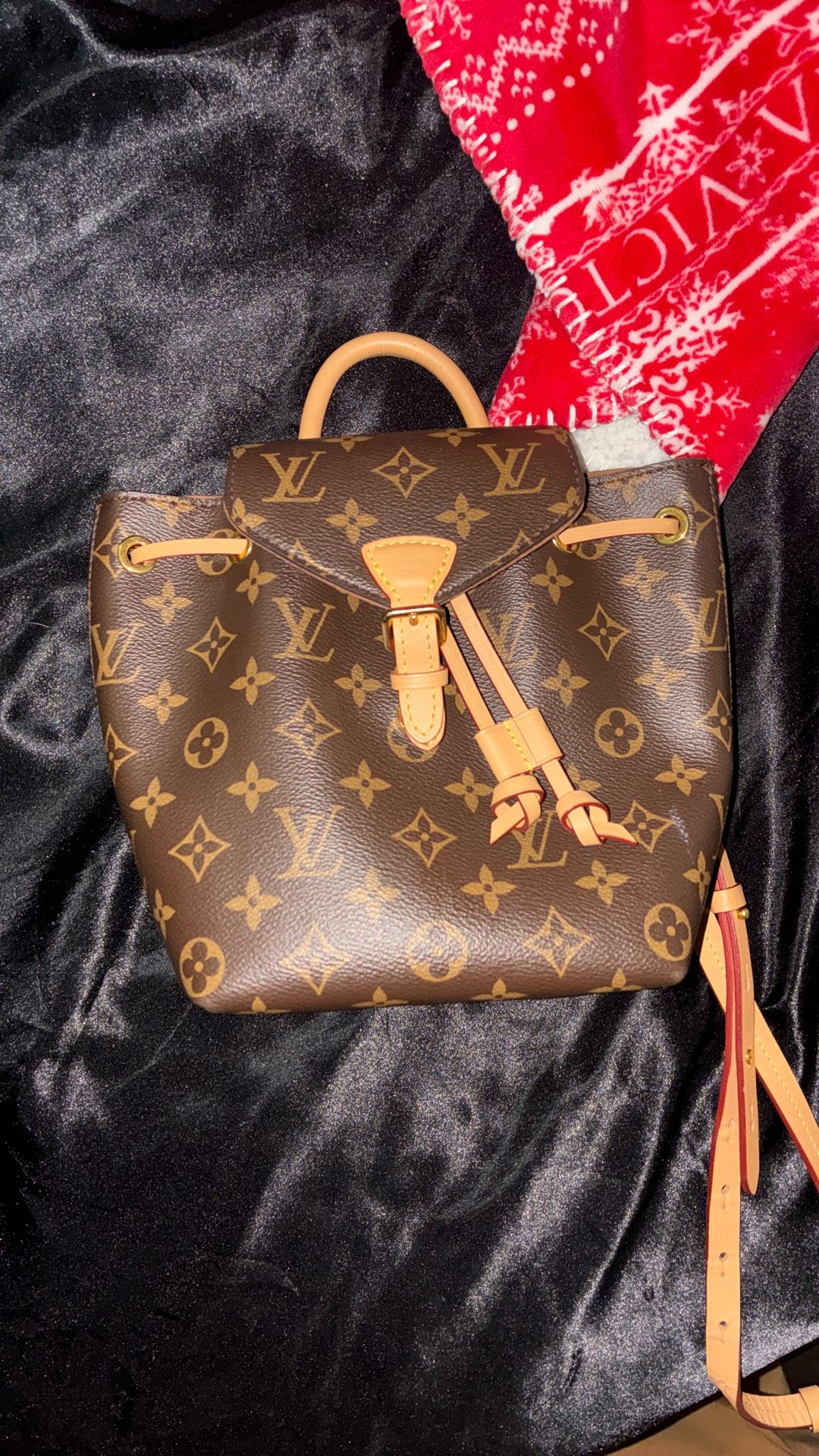 Louis Vuitton Montsouris PM Backpack