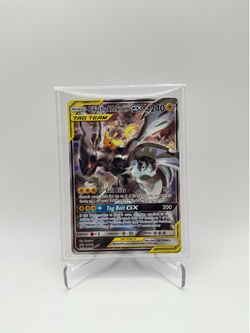 Pikachu & Zekrom Tag Team Promo sm168