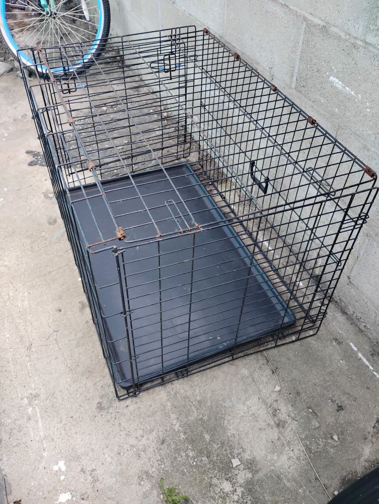 Frisco Fold & Carry Single Door Collapsible Wire Dog Crate, Med/Large