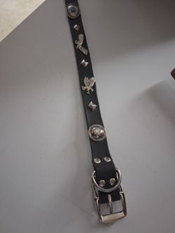 L/XL fog collar