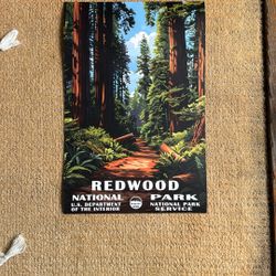 Redwood National Park Poster