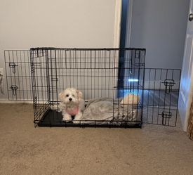New In box medium sized crate *3 AVAILABLE*