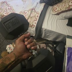 30lbs Dumbell 20 dollars