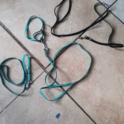 Pet Leashes
