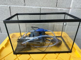 10 gallon fish tank