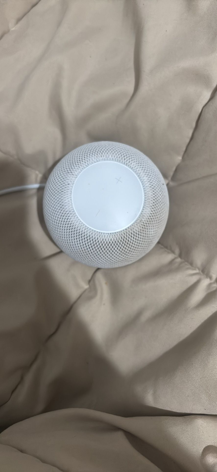 Homepod Mini