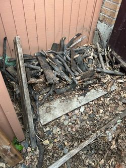 FREE firewood