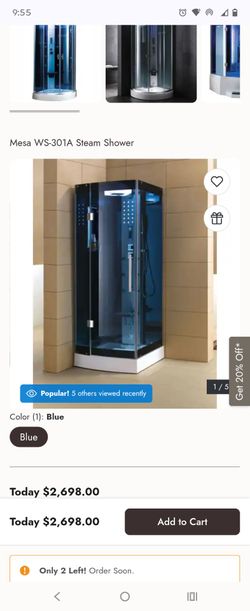 Steam shower