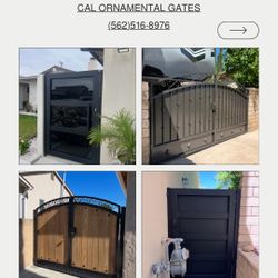 Modern Side Gate