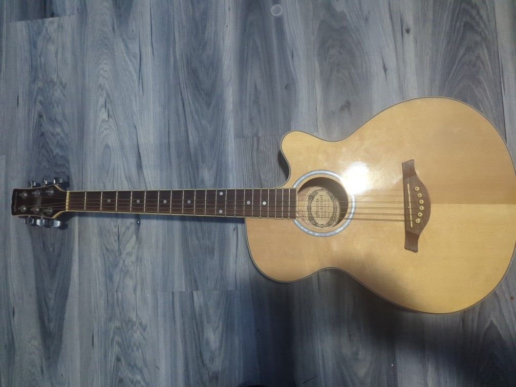 Acoustic Guitar