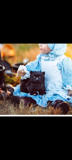 THE QUEEN'S TREASURES 18 Inch Doll Pets, Officially Licensed Little House On The Prairie Black Kitty Cat, Compatible with American Girl Dolls