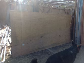3/4" plywood