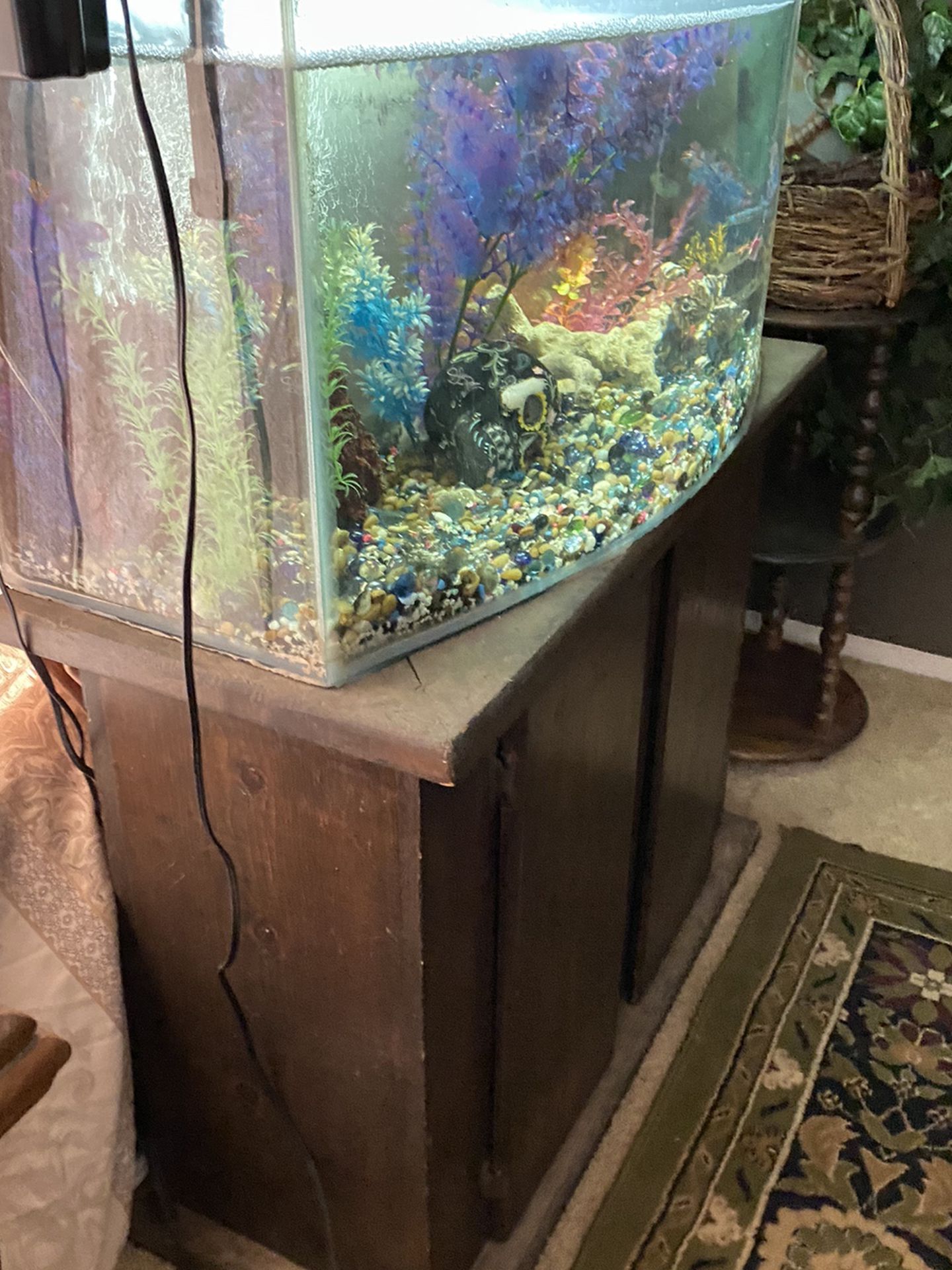 fish tank and accessories moving must sale