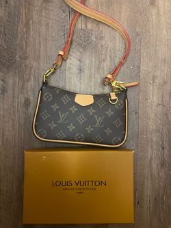 Louis Vuitton Pochette Accessoires style bag