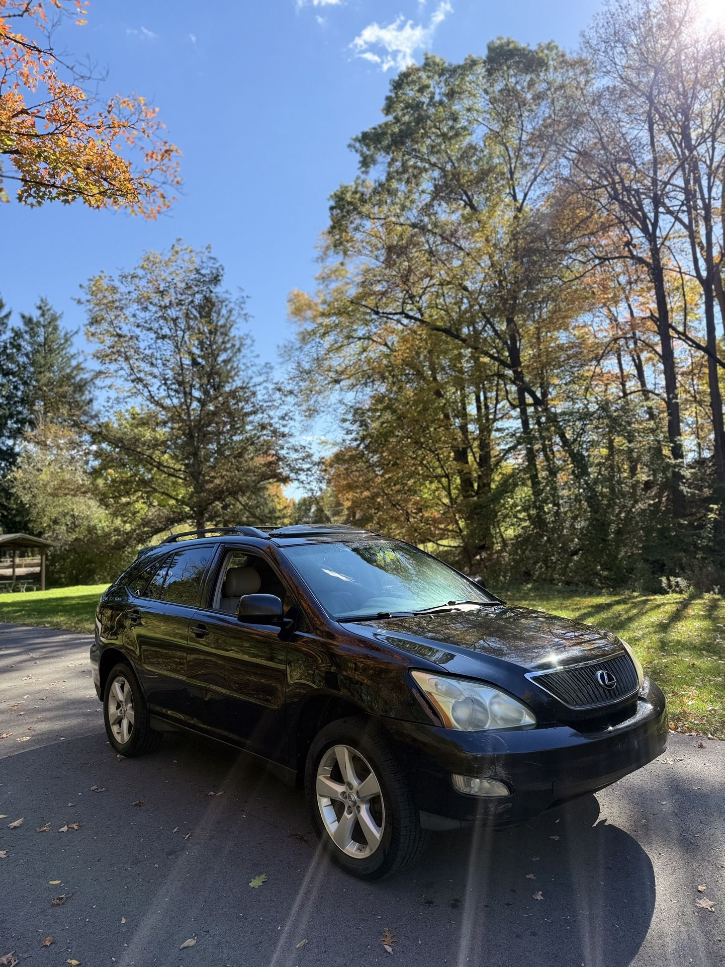 2007 Lexus Rx 350