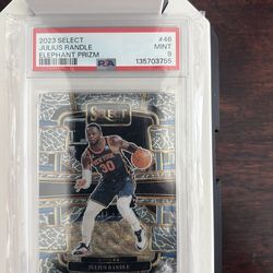 Randle elaphant print