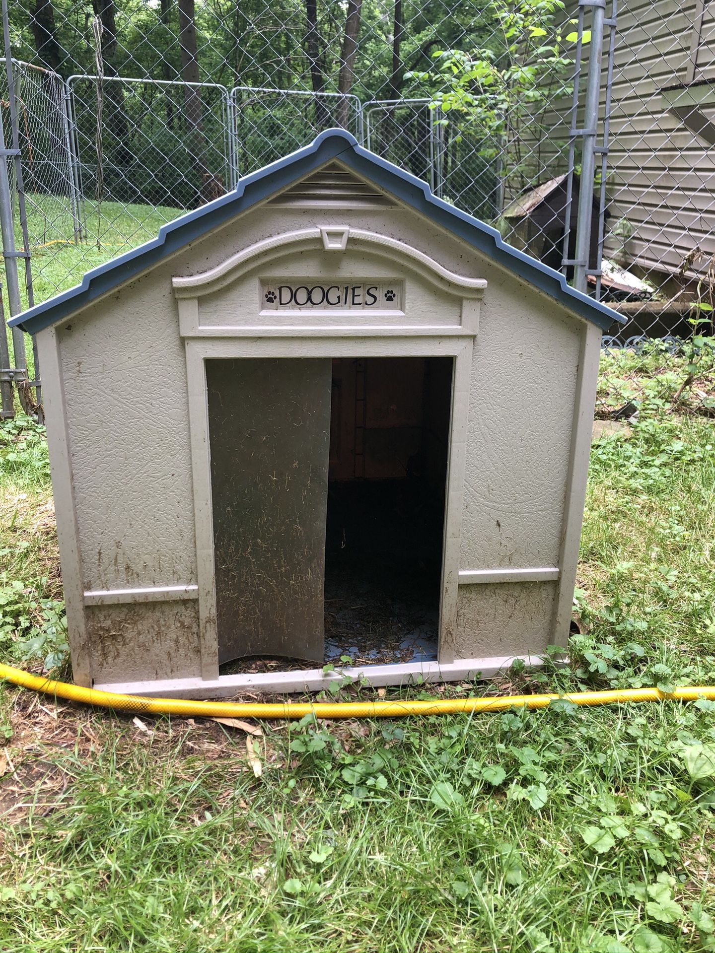 Cute dog house large