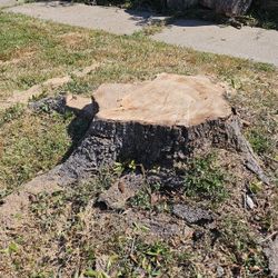 Stump Grinding 