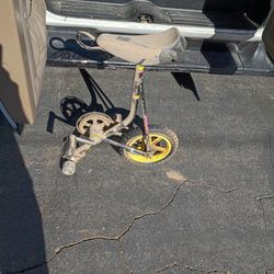 Bran Find Trick Uni Skateboard 