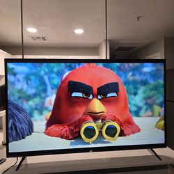 55" Vizio Smart TV