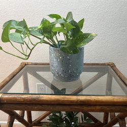 Ceramic Terrazzo Blue Plant Pot 