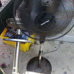Fan
