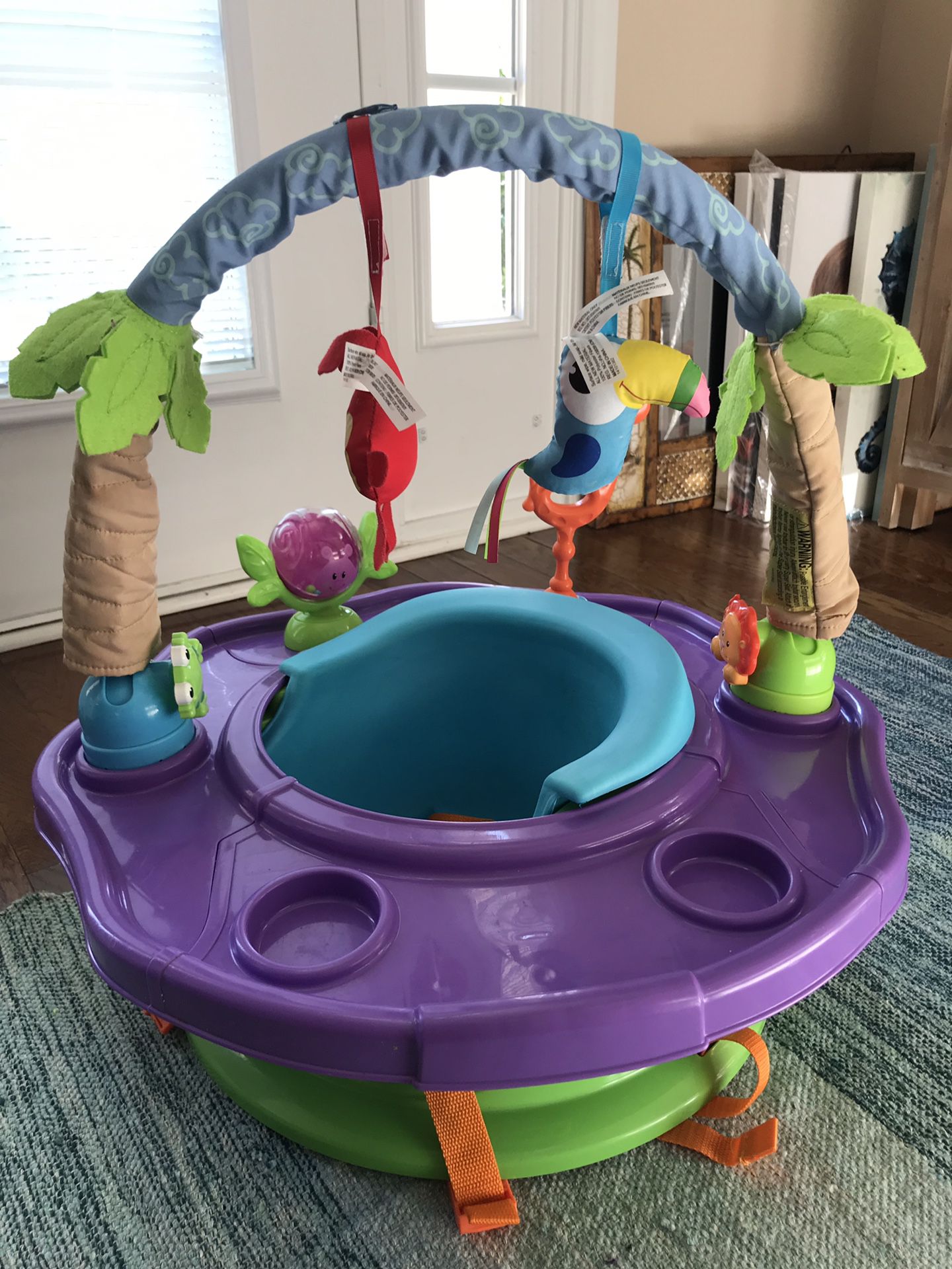 Baby activity seat
