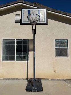 Lifetime portable basketball
