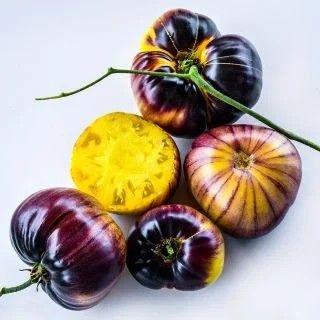 HEIRLOOM TOMATO PLANTS